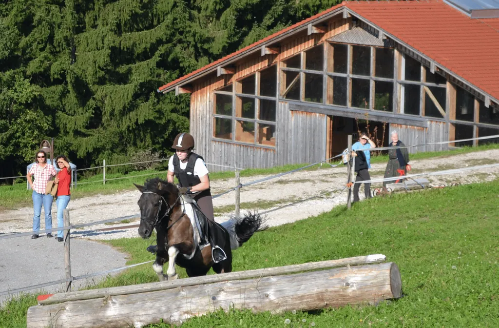reiterpasspruefung-sarah