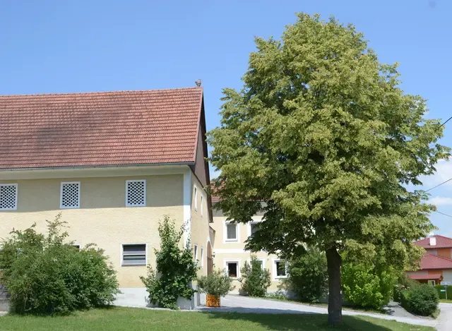 Hof des Trakehner Gestüts Pichl mit großer Linde