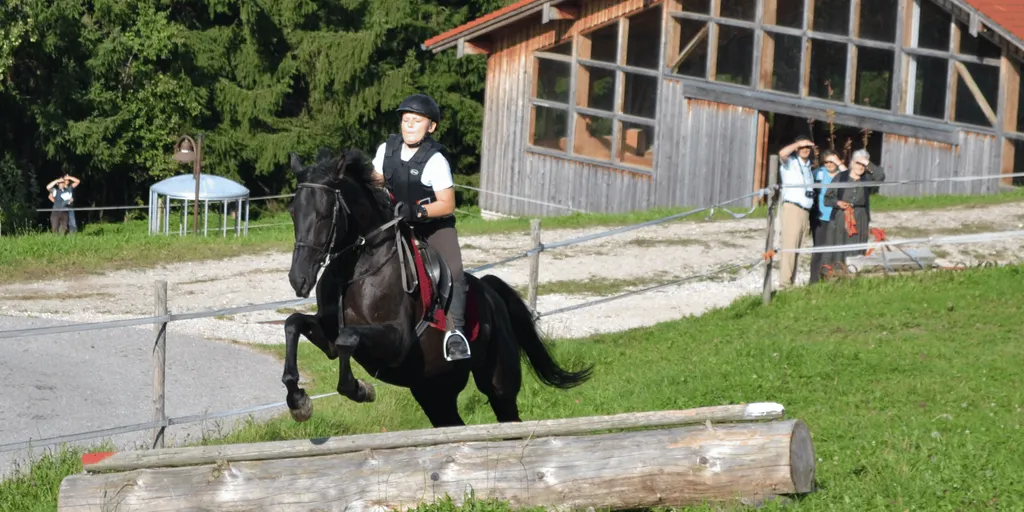 reiterpasspruefung