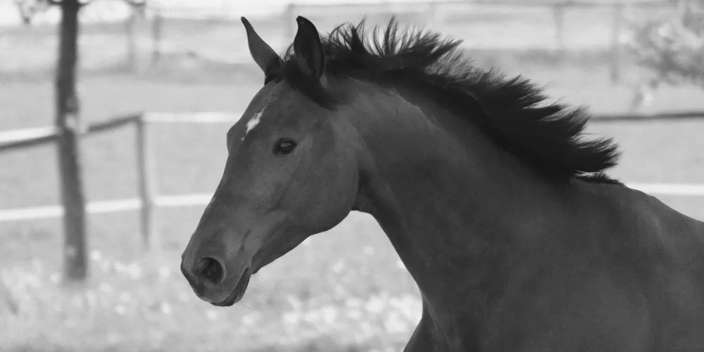 in-erinnerung-gatsby