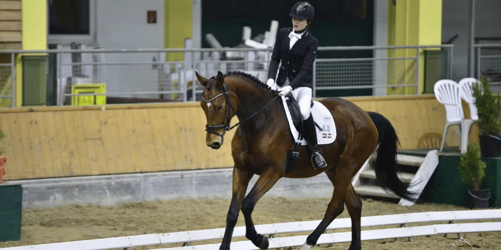 turnier-cdn-b-stadl-paura-februar-2016