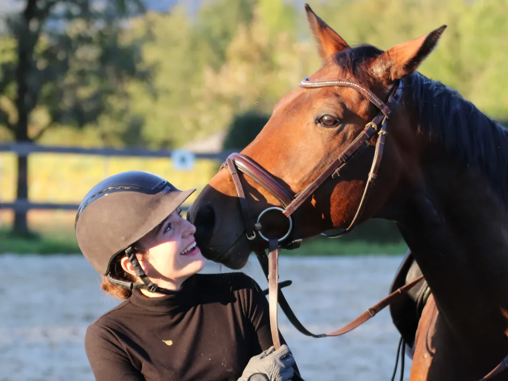 gallant-prince-als-musterschueler