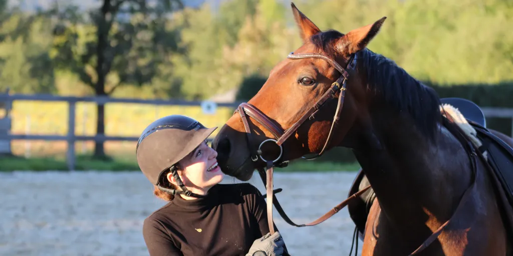 gallant-prince-als-musterschueler