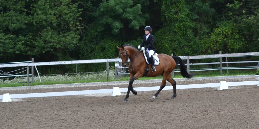 great-gatsby-und-sarah-gewinnen-ooeps-dressage-trophy