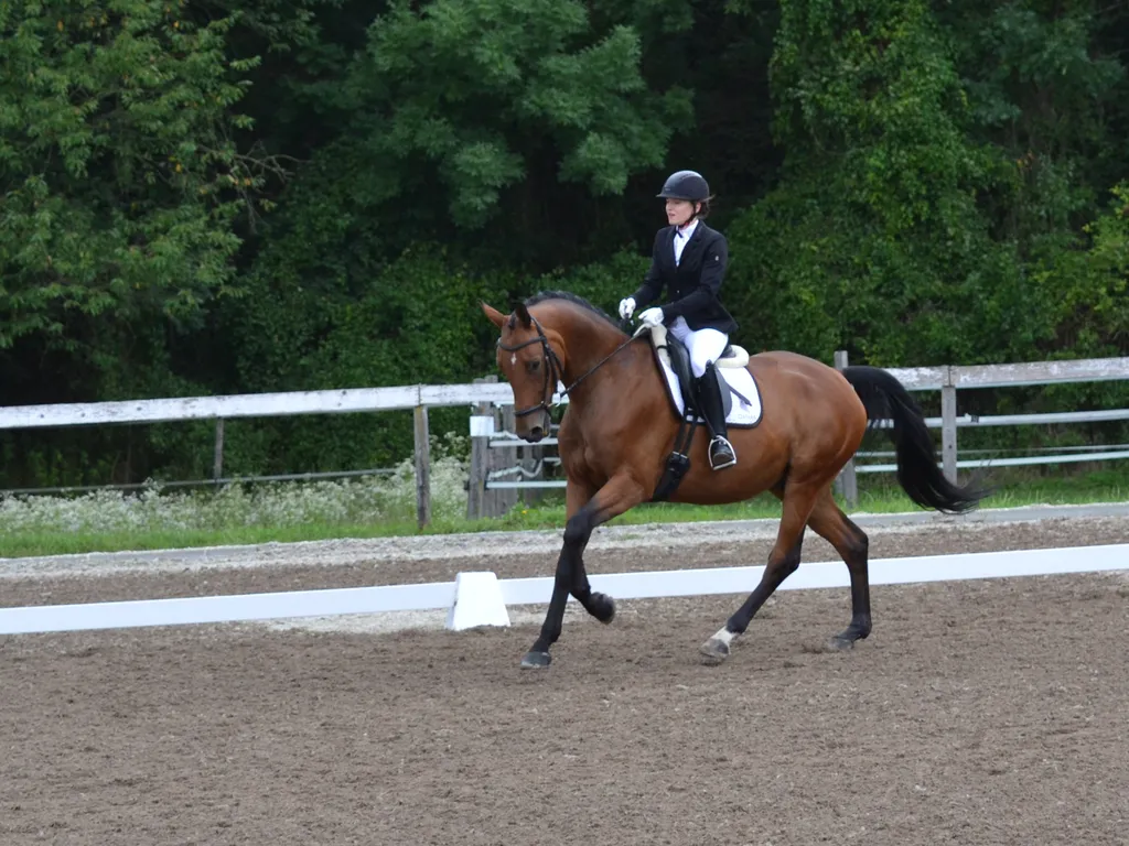 great-gatsby-und-sarah-gewinnen-ooeps-dressage-trophy