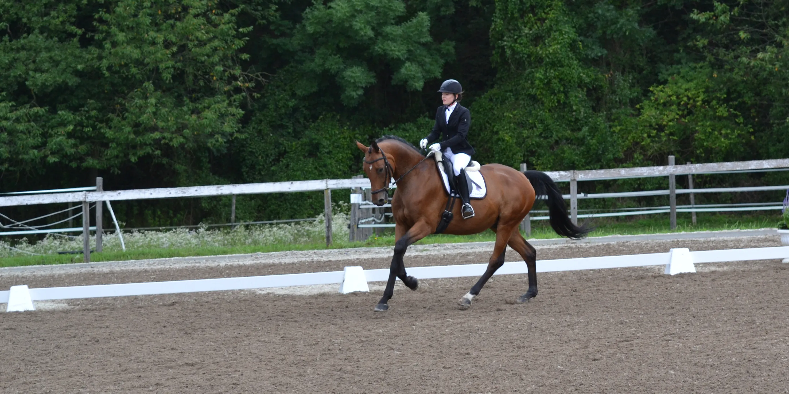 Great Gatsby und Sarah gewinnen OOEPS Dressage Trophy