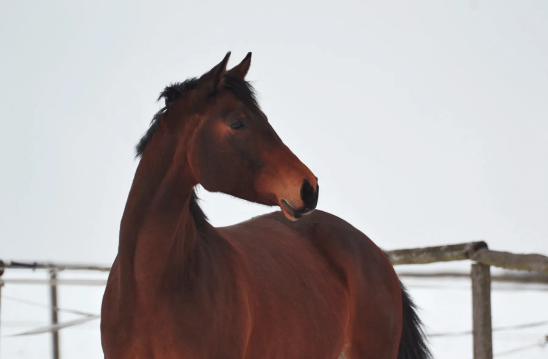 /_astro/profile_picture.Cbm230b3.png
